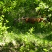 DSCN0353
