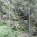 DSCN0622