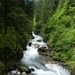 DSCN0625