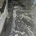 DSCN0631