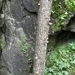 DSCN0635