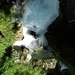 DSCN0640