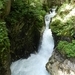 DSCN0643