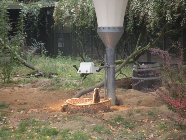 foto's midweek keulen duitsland 283