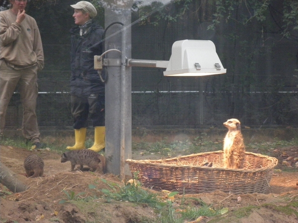 foto's midweek keulen duitsland 286