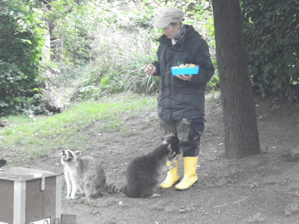 foto's midweek keulen duitsland 287