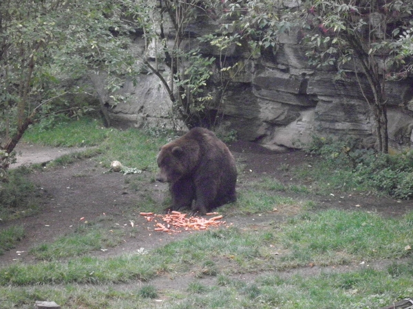 foto's midweek keulen duitsland 291