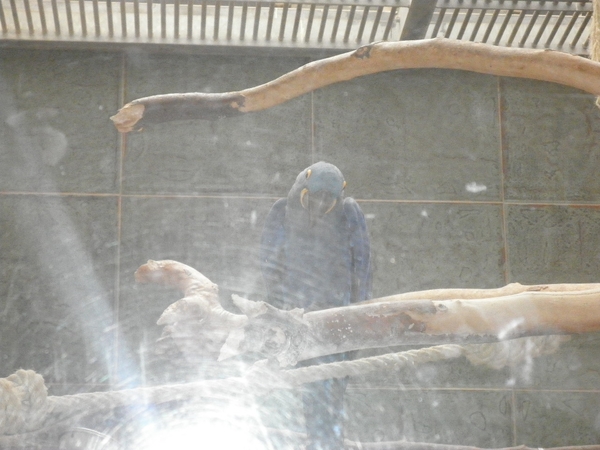 foto's midweek keulen duitsland 296