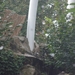 foto's midweek keulen duitsland 302
