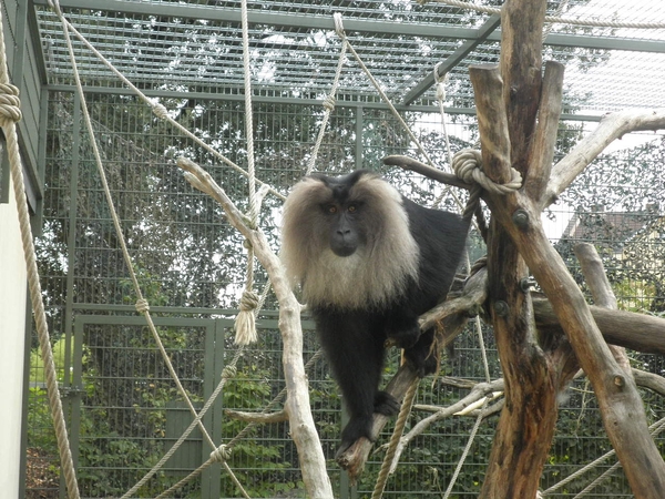 foto's midweek keulen duitsland 331