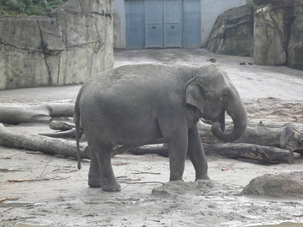 foto's midweek keulen duitsland 335