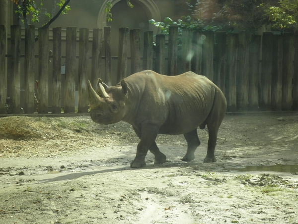 foto's midweek keulen duitsland 367