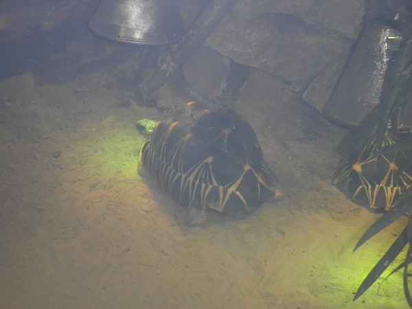 foto's midweek keulen duitsland 383