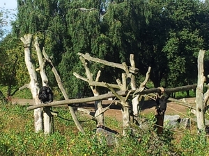 20130909_104314
