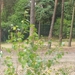 20130909_142854