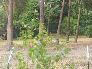 20130909_142854