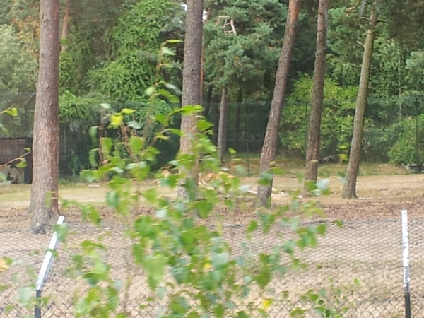 20130909_142854