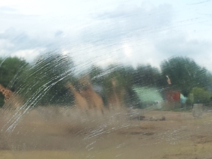 20130909_143130