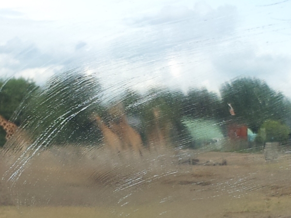20130909_143130