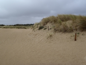 De Panne GR502+ 110913 040