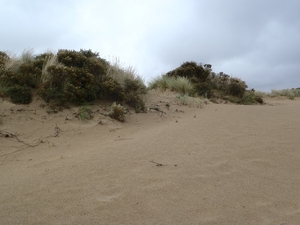 De Panne GR502+ 110913 042