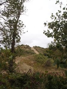 De Panne GR502+ 110913 058