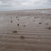 De Panne GR502+ 110913 068