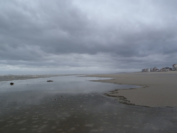 De Panne GR502+ 110913 073