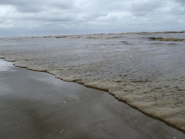 De Panne GR502+ 110913 075