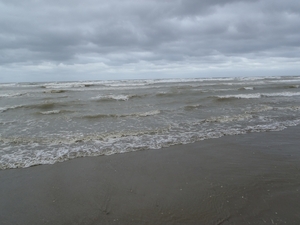 De Panne GR502+ 110913 078