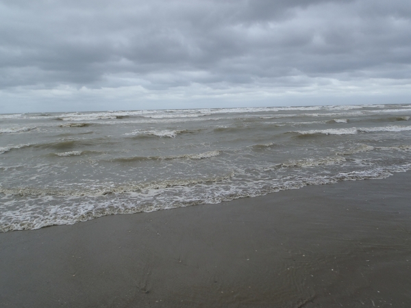 De Panne GR502+ 110913 078