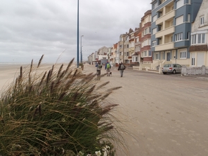 De Panne GR502+ 110913 080