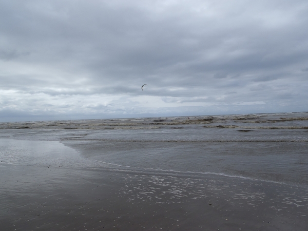 De Panne GR502+ 110913 089