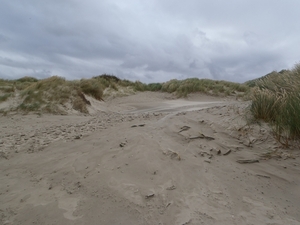 De Panne GR502+ 110913 096