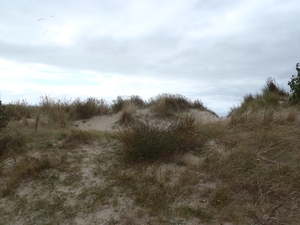 De Panne GR502+ 110913 097