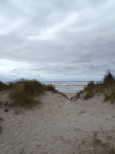 De Panne GR502+ 110913 098
