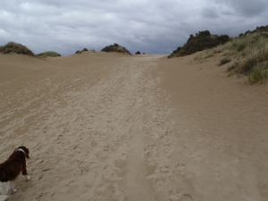 De Panne GR502+ 110913 105