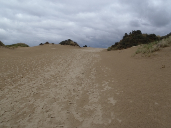 De Panne GR502+ 110913 106