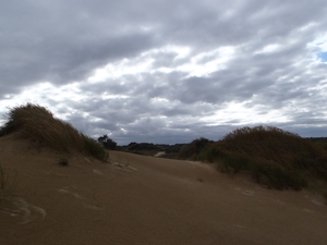 De Panne GR502+ 110913 108