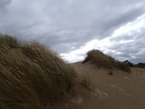 De Panne GR502+ 110913 109
