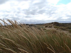 De Panne GR502+ 110913 111