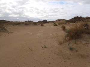 De Panne GR502+ 110913 113