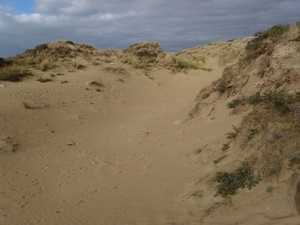 De Panne GR502+ 110913 115