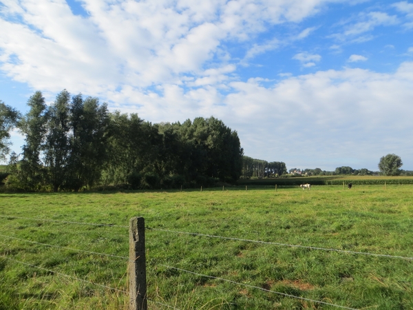 2013-09-09 Vlierzele 008