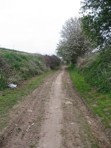 Volkegem 210410 009