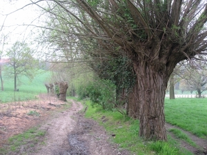 Volkegem 210410 015
