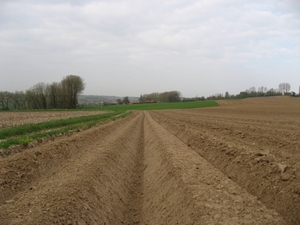 Volkegem 210410 026