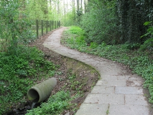 Volkegem 210410 052