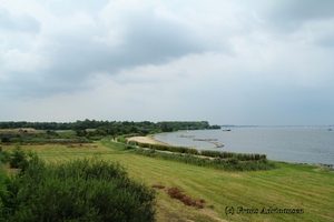 IMG_2545