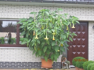 wandeling in Deinze 15-09-2013 009